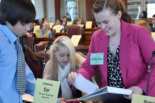 Image of Youth in Government